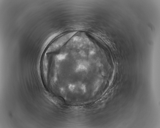 X0000112960147200909241207