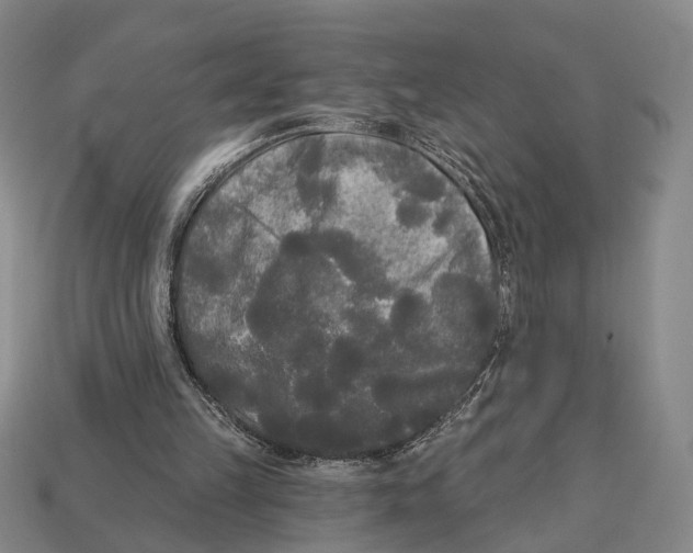 X0000112960149200909241207