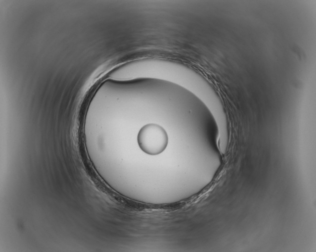 X0000112960150200909241207