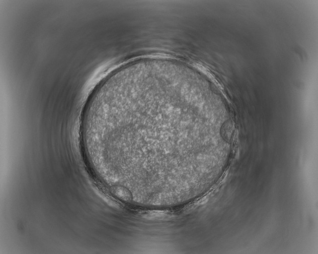 X0000112960151200909241207