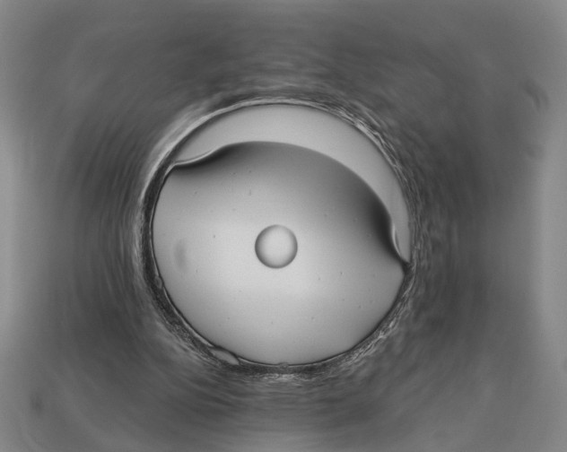 X0000112960152200909241207