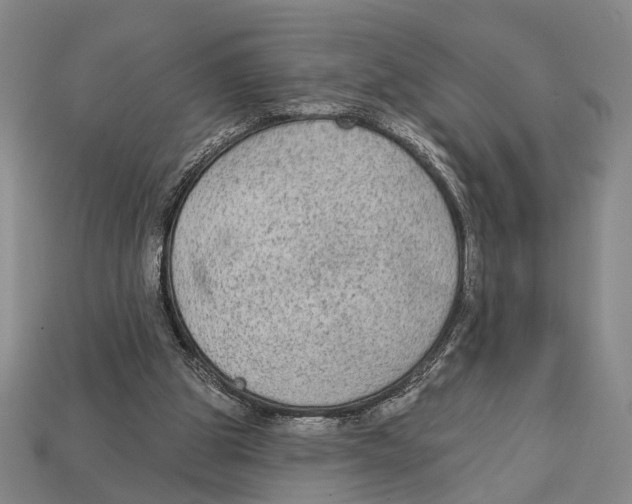 X0000112960153200909241207