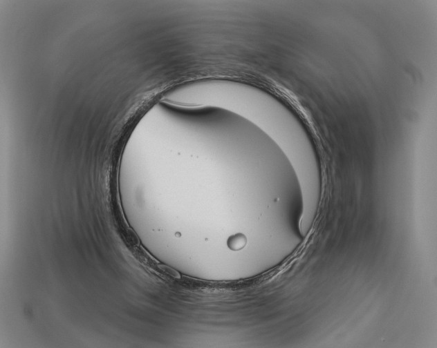 X0000112960154200909241207