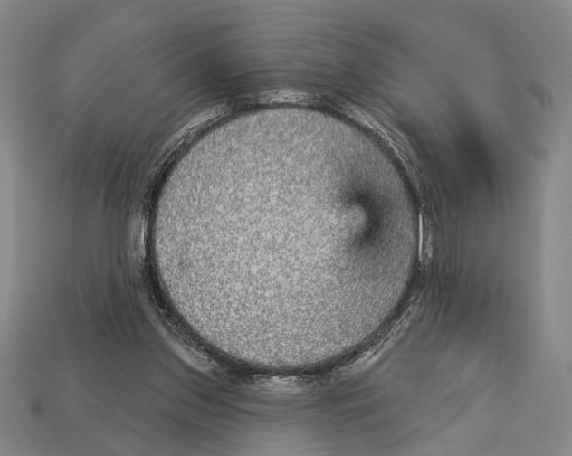 X0000112960157200909241207