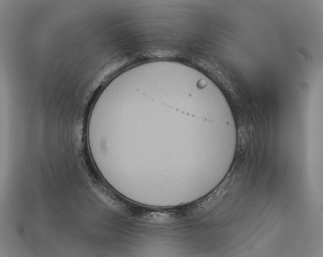 X0000112960159200909241207