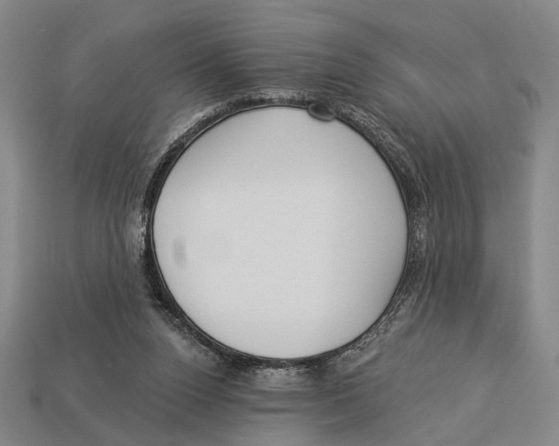 X0000112960160200909241207