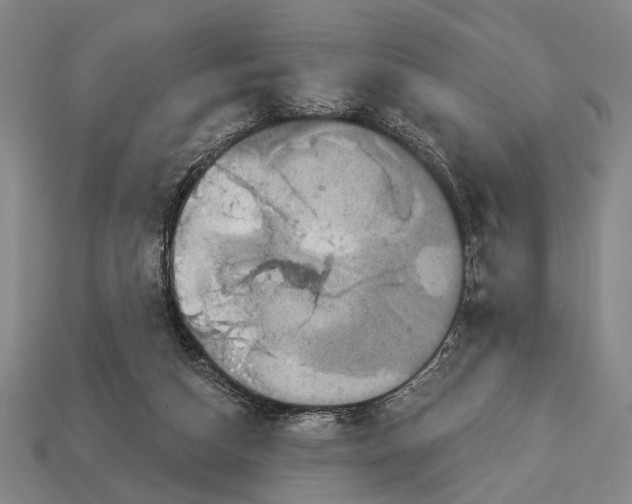 X0000112960162200909241207