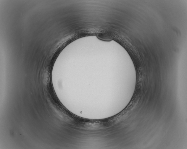 X0000112960164200909241207