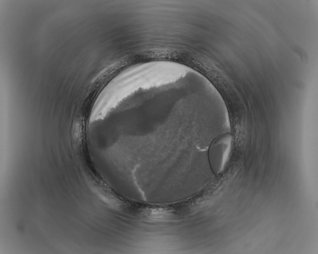 X0000112960165200909241207