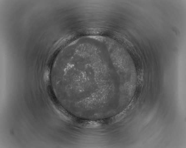 X0000112960166200909241207