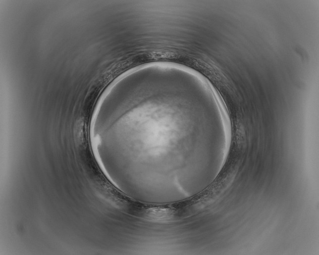 X0000112960169200909241207