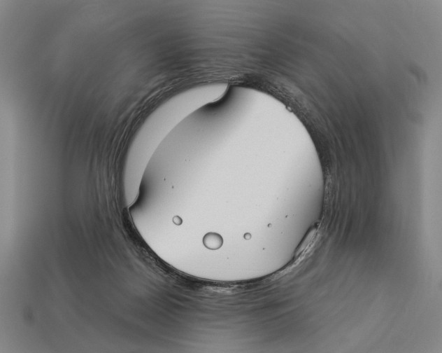 X0000112960170200909241207