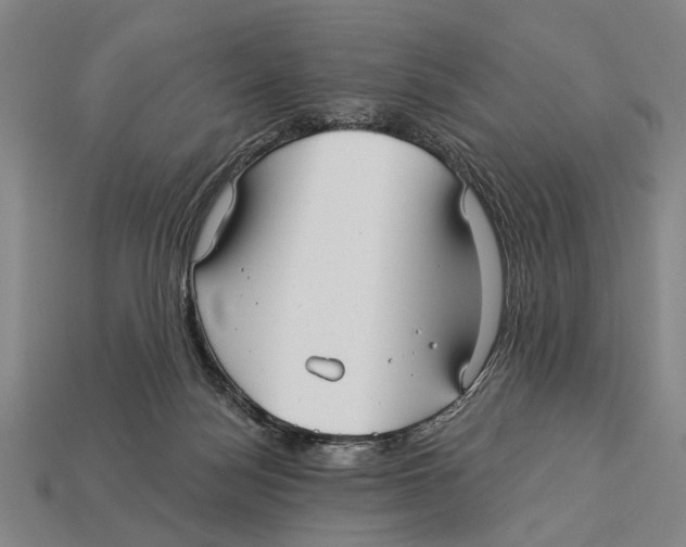 X0000112960172200909241207