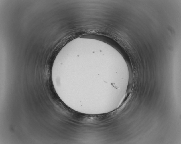 X0000112960174200909241207