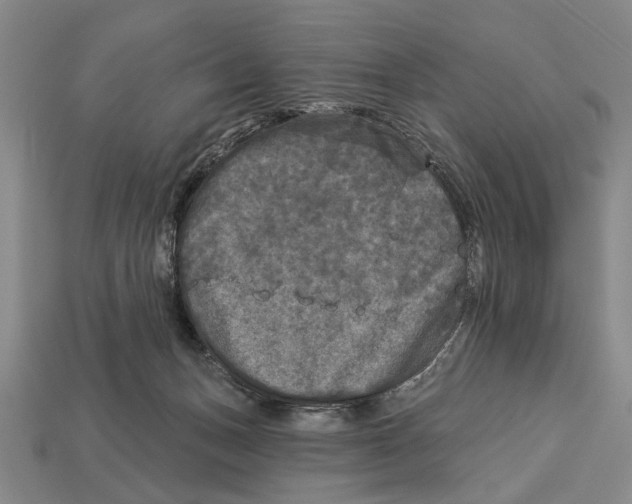 X0000112960175200909241207