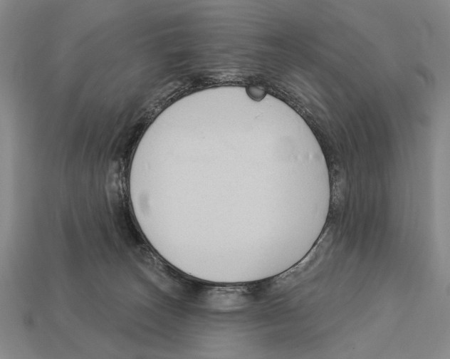 X0000112960179200909241207