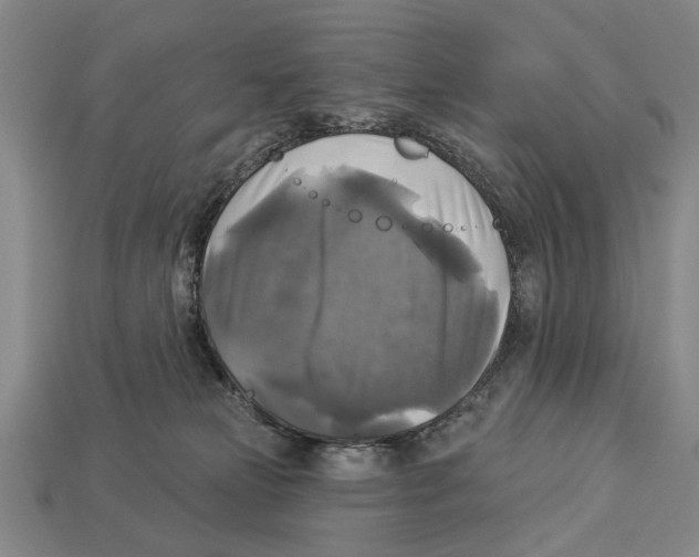 X0000112960181200909241207