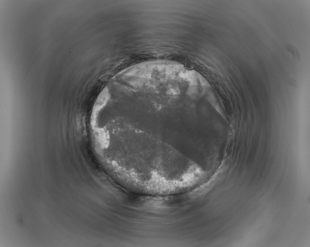 X0000112960182200909241207