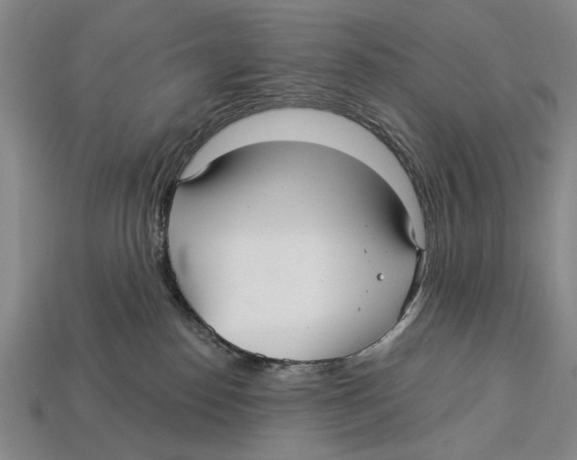 X0000112960186200909241207