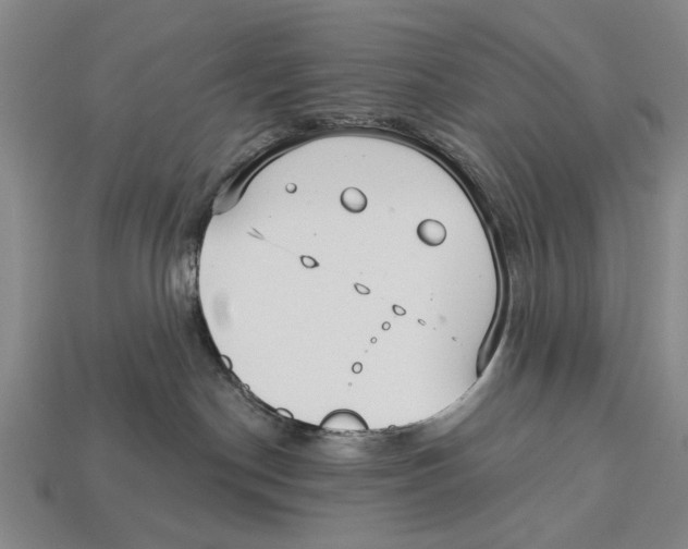 X0000112960190200909241207