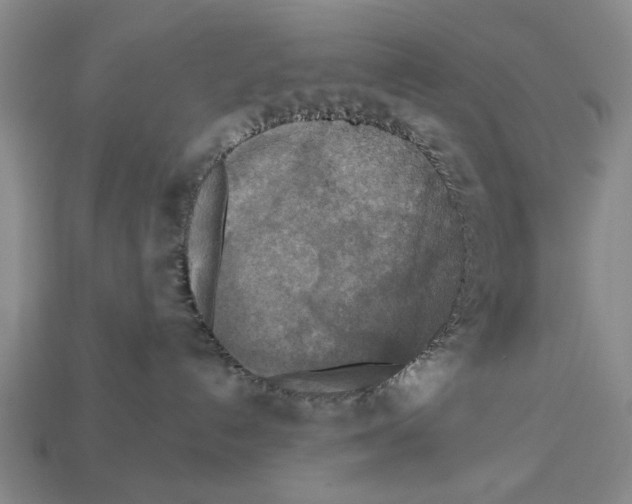 X0000112960192200909241207