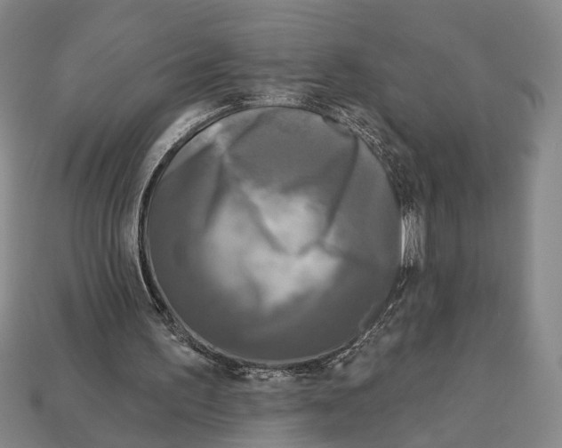 X0000112960195200909241206