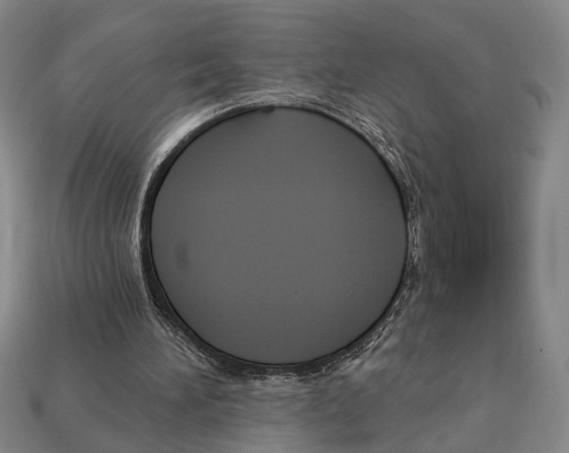 X0000112960196200909241206