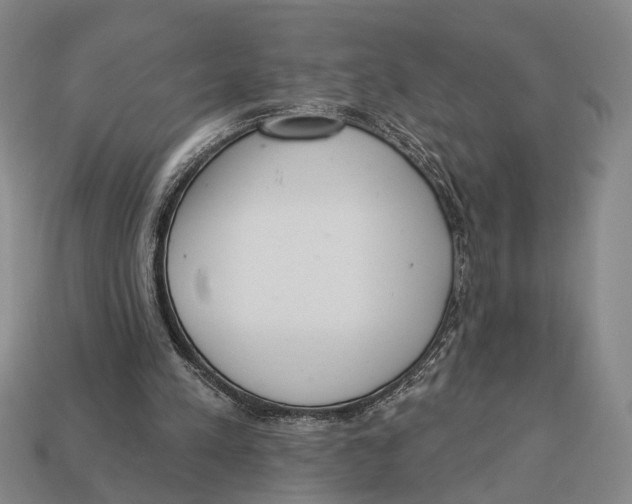 X0000112960197200909241206