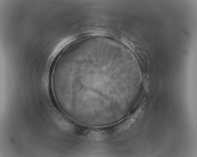 X0000112960199200909241206