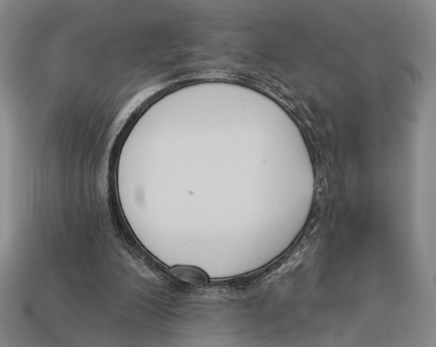 X0000112960200200909241206