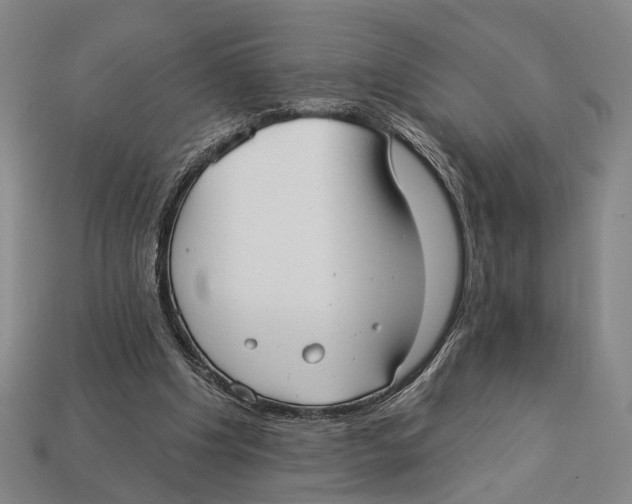 X0000112960201200909241206