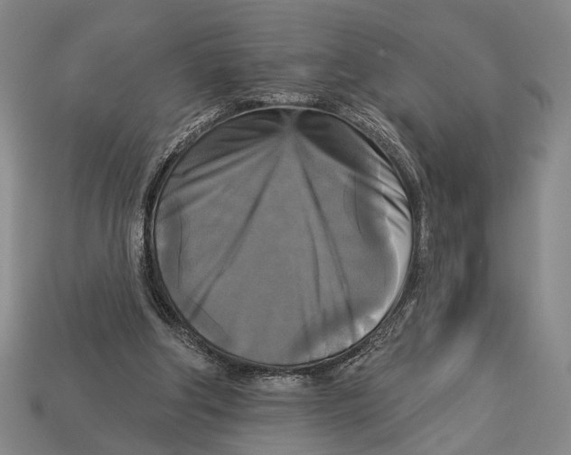 X0000112960202200909241206