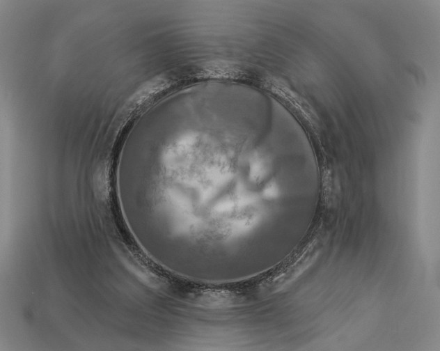 X0000112960203200909241206