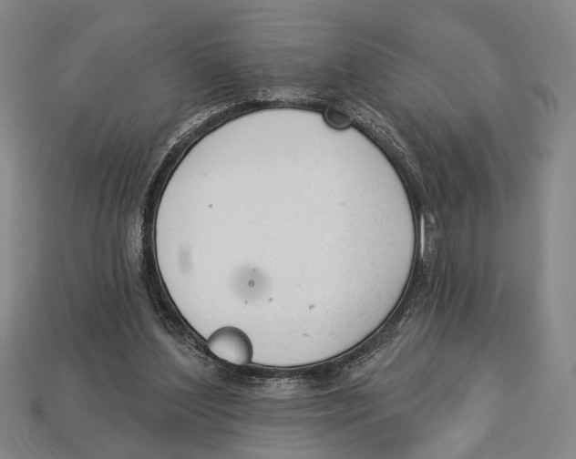 X0000112960204200909241206