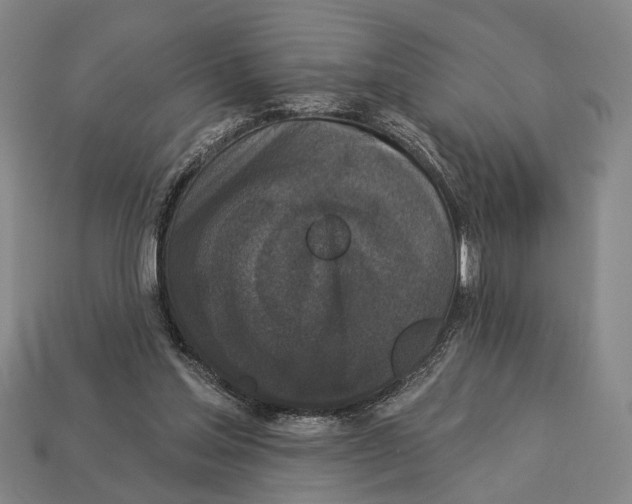 X0000112960205200909241206