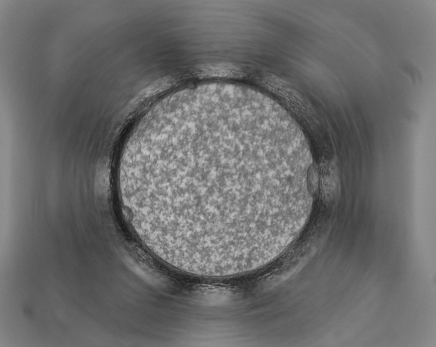 X0000112960207200909241206