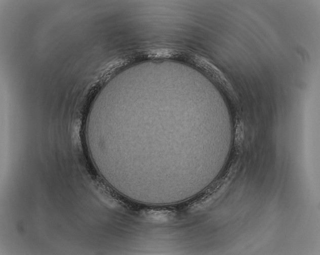 X0000112960209200909241206