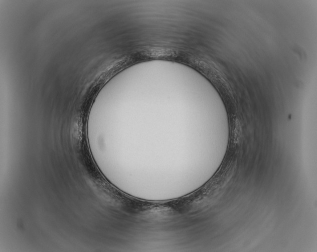 X0000112960210200909241206