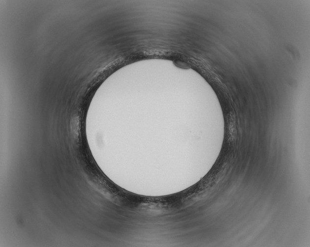 X0000112960211200909241206