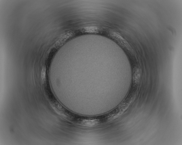 X0000112960213200909241206