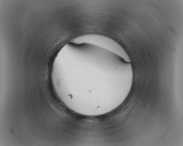 X0000112960215200909241206