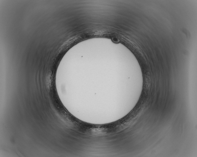 X0000112960216200909241206