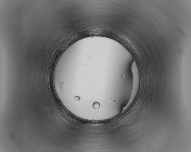 X0000112960217200909241206