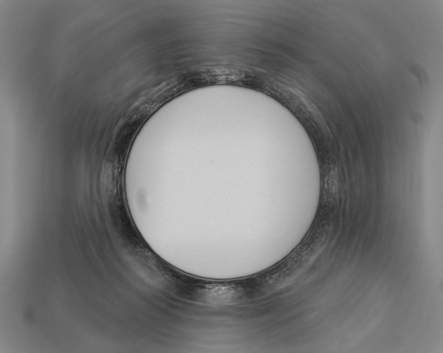 X0000112960218200909241206