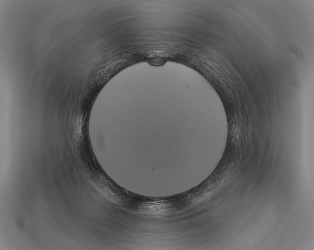 X0000112960219200909241206