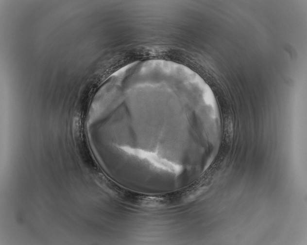 X0000112960222200909241206