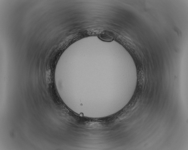 X0000112960224200909241206