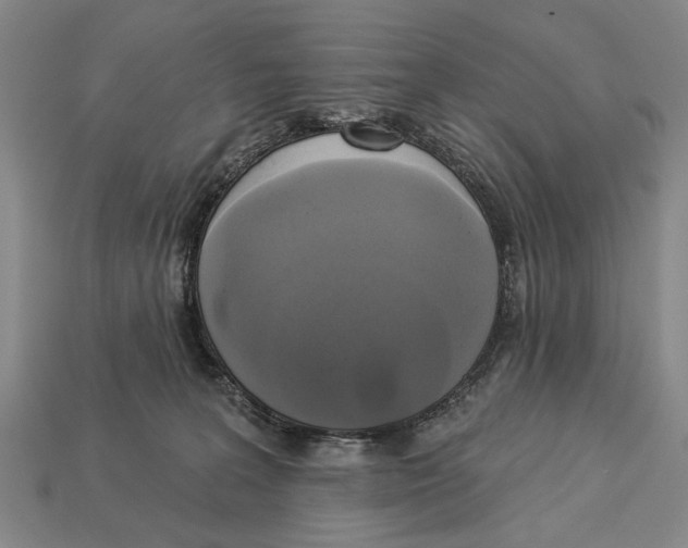 X0000112960227200909241206