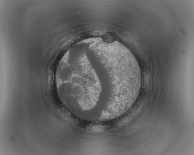 X0000112960228200909241206