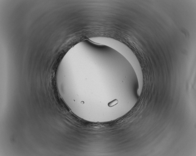 X0000112960229200909241206